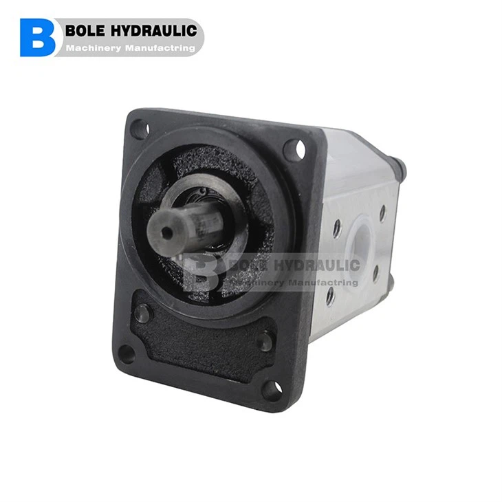 Ronzio Gear Pump Group 1