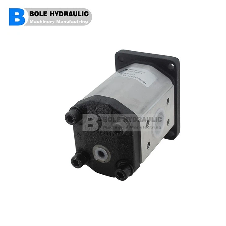 Ronzio Gear Pump Group 1