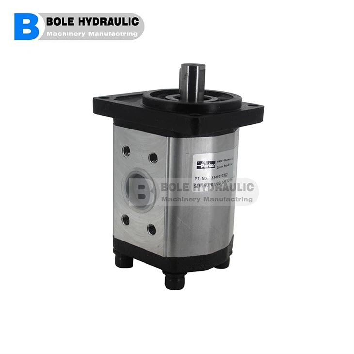 Ronzio Gear Pump Group 1